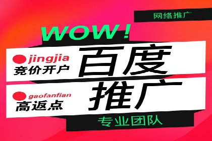 案例分析：竞价推广实战中的困境与突破